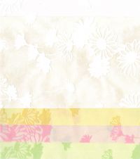 Mayflower Paper