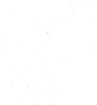 Mulberry Papier
