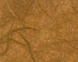 Strohseide Silk mit Fasern