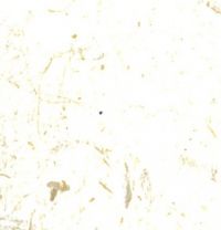 Natura