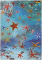 Transparentpapiere Maritim