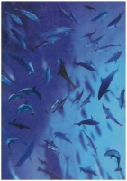 Transparentpapiere Maritim
