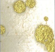 Golddrops