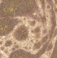 Galacticard Gold